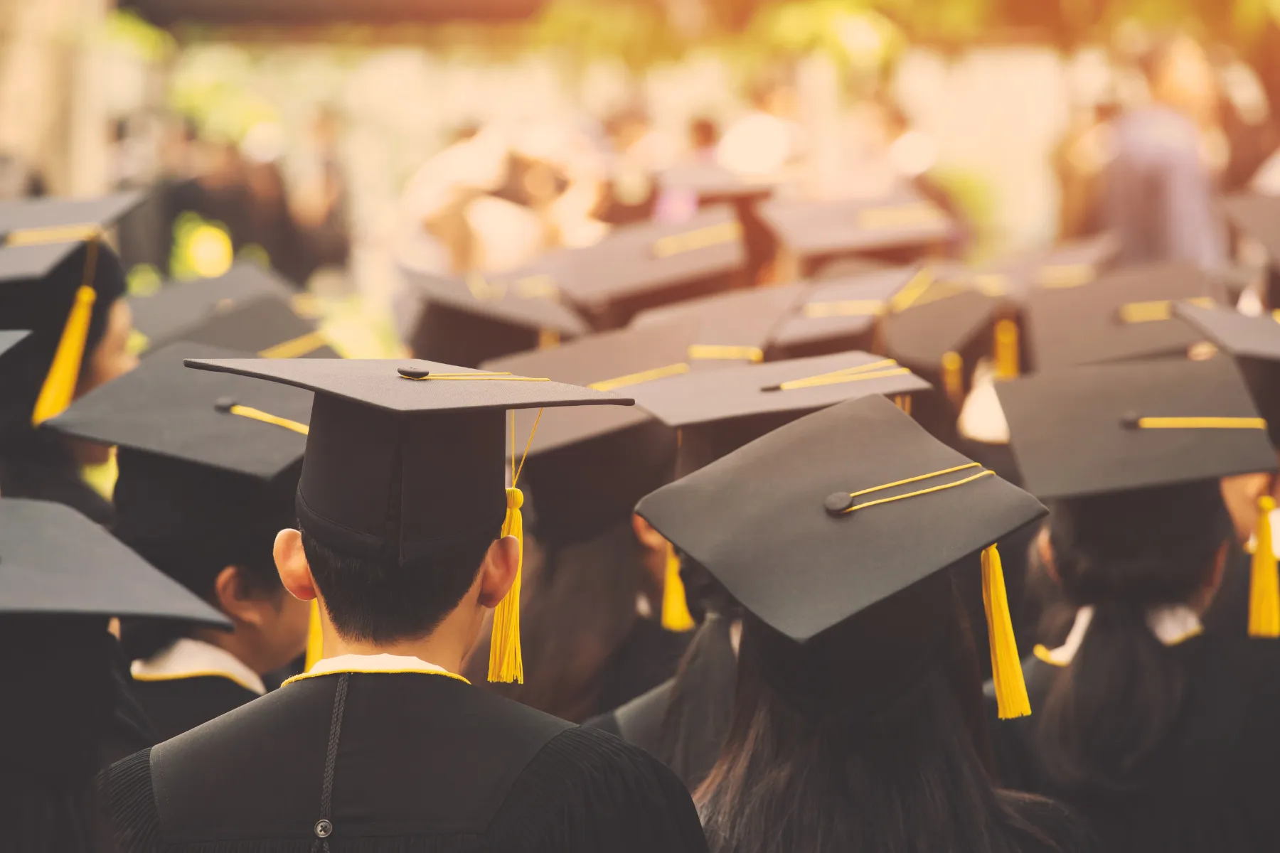 Features for Schools